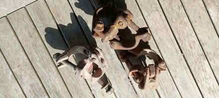 Photo of free Scaffold clamps/couplers (Stroud GL10) #1