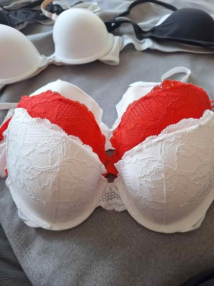 Photo of free 32C Bras (Kingston KT1) #1