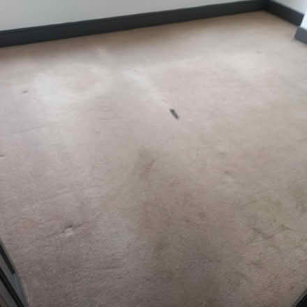 Photo of free Carpet (Garston L19) #2
