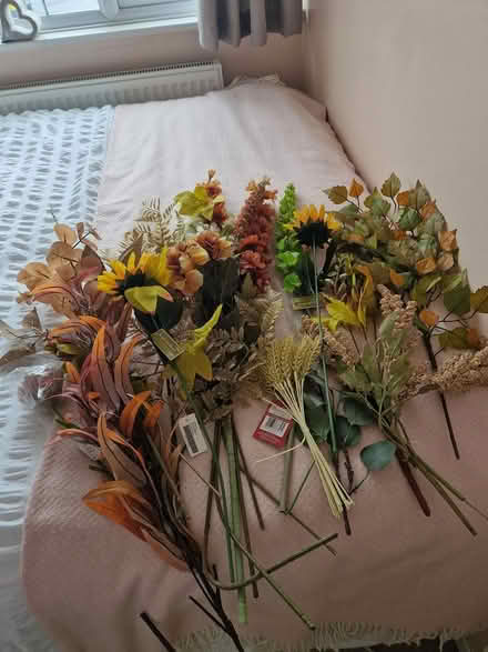 Photo of free Silk fkowers (Windsor SL4) #1