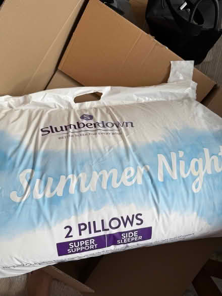 Photo of free Set of 2 pillows. (The Cliff M7) #1