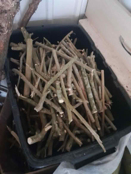 Photo of free Wood for wood stove (HX3) #4