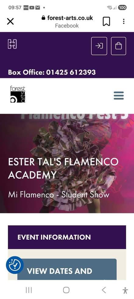 Photo of free Flamenco Show New Milton (Charminster BH8) #1