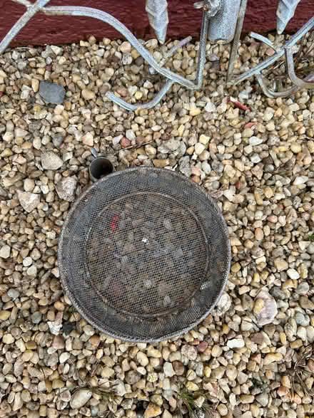 Photo of free Peckish Secret Garden Wild Bird Feeding Station (Clarkston G76) #4