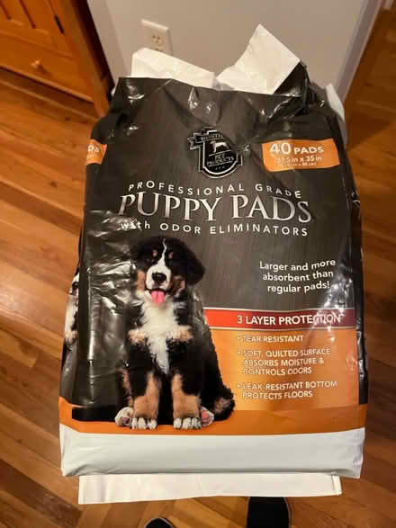 Photo of free Large puppy pads (East Weymouth) #1