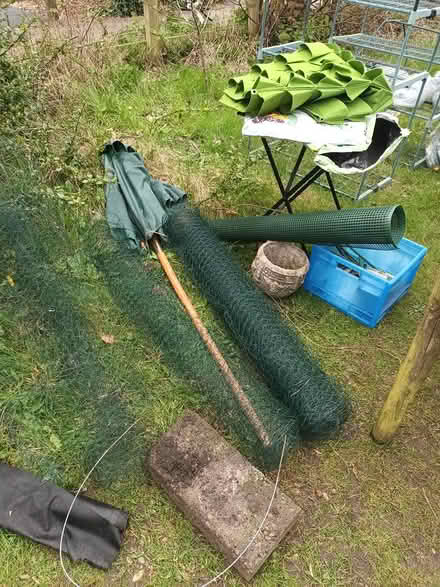 Photo of free Allotment sorts (LS29) #4