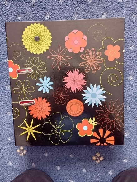 Photo of free LeverArch files (Moulsham Lodge CM2) #1