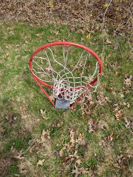 Photo of free Basketball hoop (South Amherst) #1