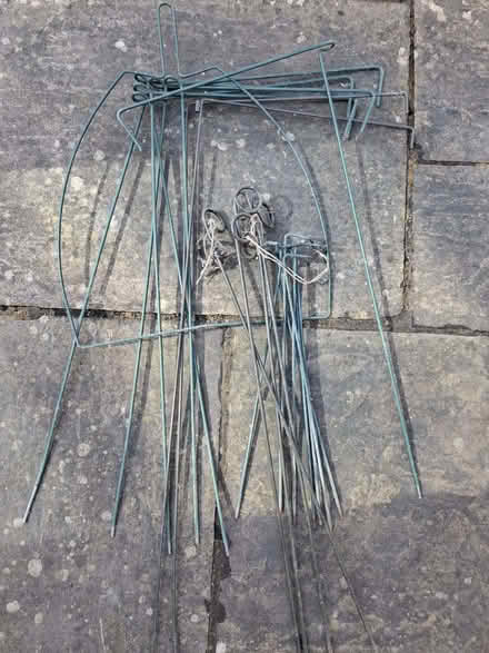 Photo of free Plant supports, various size/style (Ringmer BN8) #1