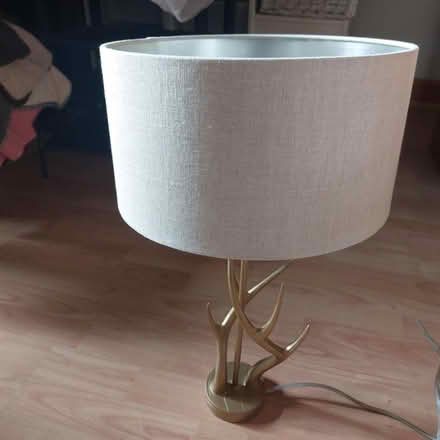 Photo of free Decorative lamp (WF1) #1