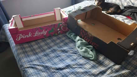 Photo of free Boxes (BD13) #1