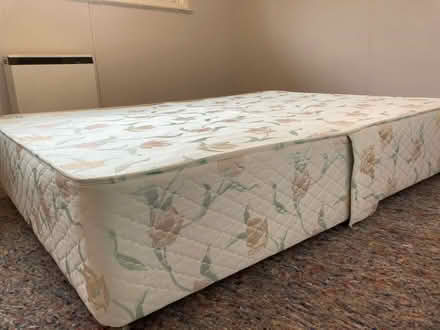 Photo of free Sealy Double Divan (Bickleigh near Tiverton) #1