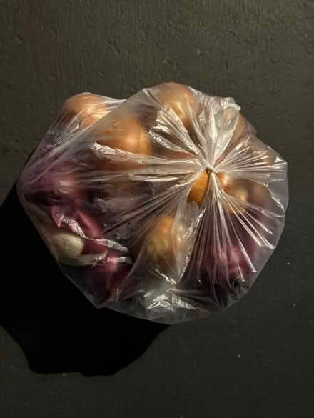 Photo of free Large bag of onions, other produce (1075 Valencia Avenue) #1