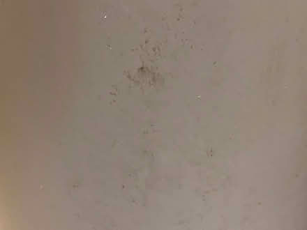 Photo of free Large bin (St Cross SO23) #3