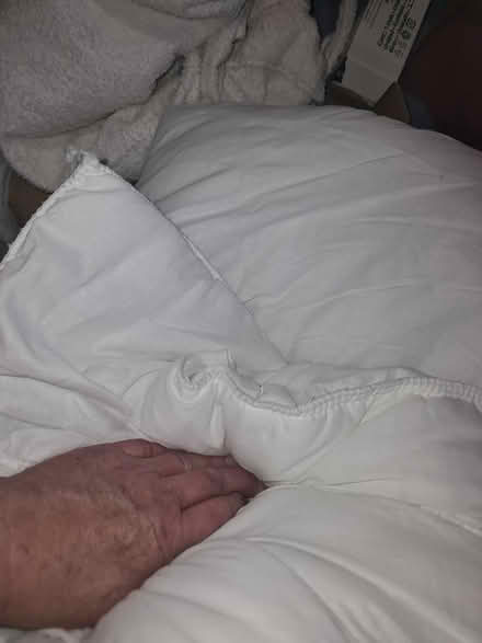 Photo of free Single duvet, like new (Dalston E8) #1