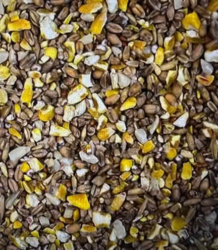 Photo of free 12.55kg Everyday No Mess Mix bird seed - best before 5/4/24 (Clarkston G76) #3