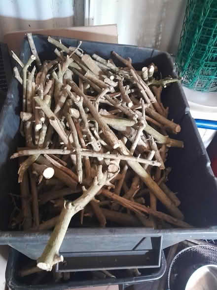 Photo of free Wood for wood stove (HX3) #3