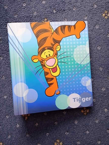 Photo of free LeverArch files (Moulsham Lodge CM2) #3