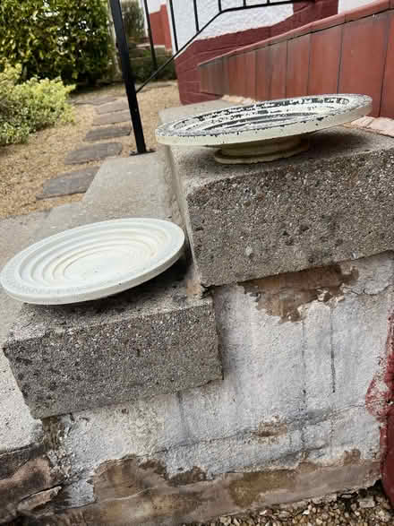 Photo of free Bird bath or wildlife stepped water bowl (Clarkston G76) #2