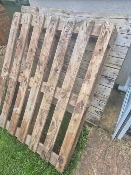 Photo of free 2 Wooden pallets (Dursley, Cam) #1
