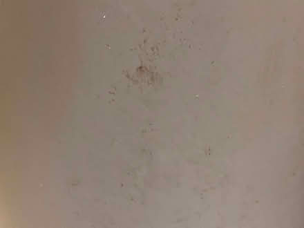 Photo of free Large pedal bin (St Cross SO23) #3