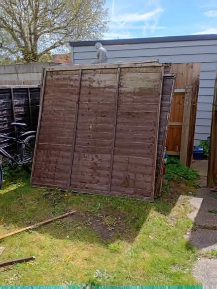 Photo of free 4 fence panels (Hampton TW12) #1