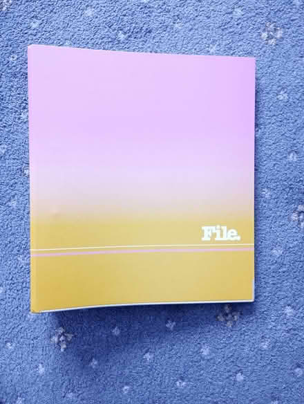 Photo of free LeverArch files (Moulsham Lodge CM2) #4