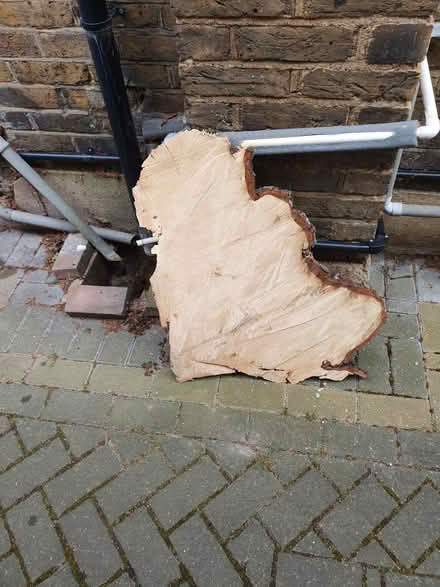 Photo of free Log section (Welling DA16) #1