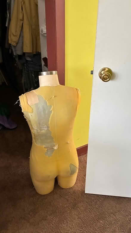 Photo of free Mannequin form (Lake Cook and Rte 41) #1