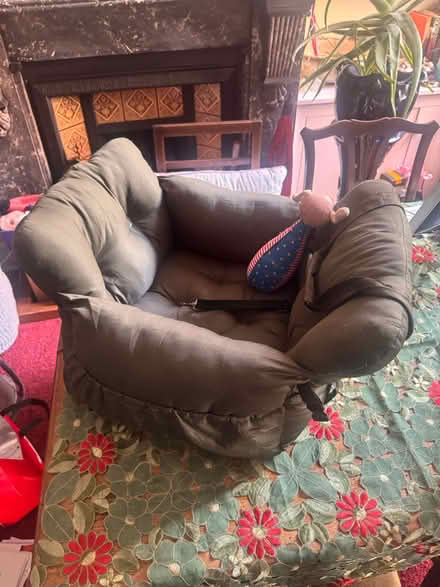 Photo of free Pet bed/ carrier/ car seat (NW10) #1
