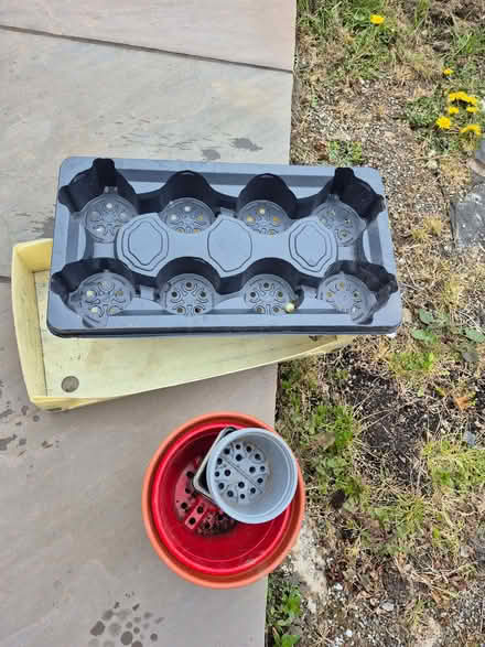 Photo of free Plant pots and trays (Peasedown St John CP BA2) #1