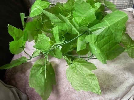 Photo of free Fake plants that can be used in a fish tank. (South Tranmere CH42) #1