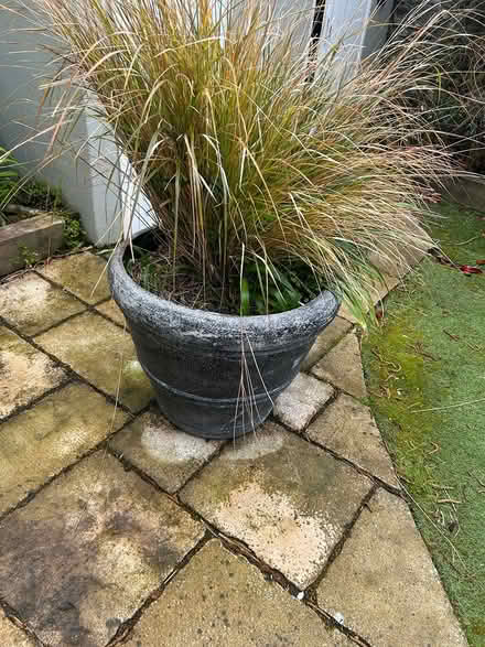 Photo of free Garden pots (Rathmines) #1