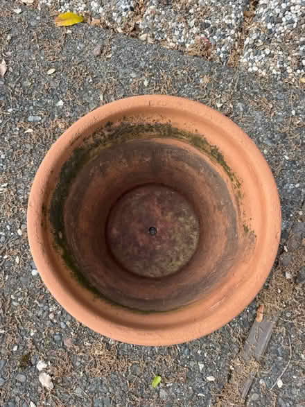 Photo of free Terracotta plant pot (Terra Linda) #2