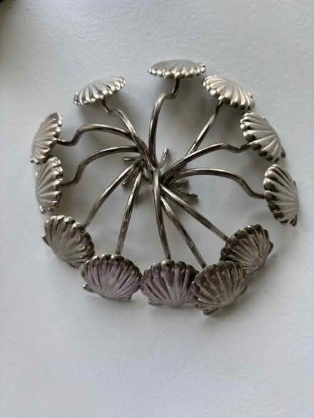 Photo of free Shower Hooks (Haymarket) #4