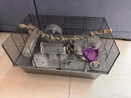 Photo of free Hamster cages (two) (Teddington TW11) #1