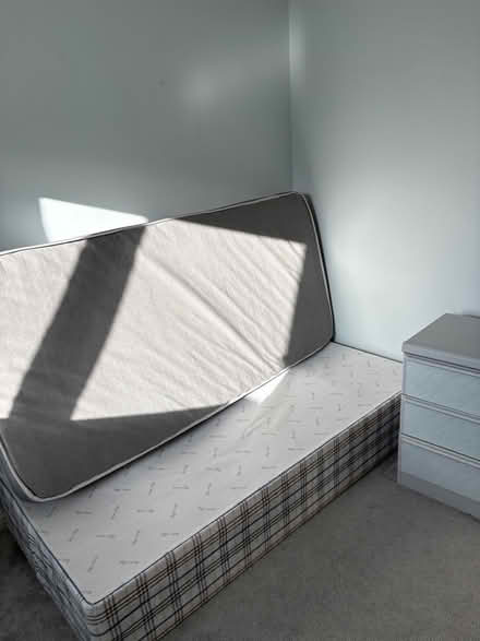 Photo of free Single bed and mattress (Conwy town) #2