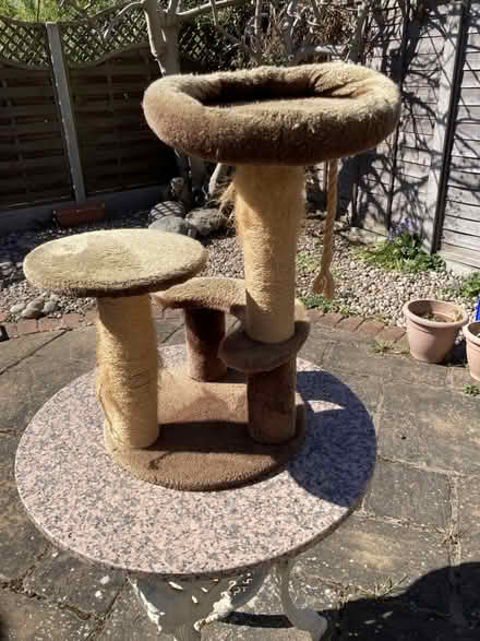 Photo of free Cat Tower (E12) #2