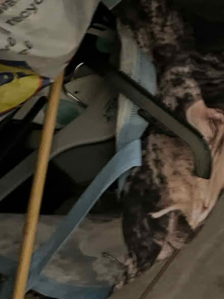 Photo of free hangers (Potter Street CM17) #1