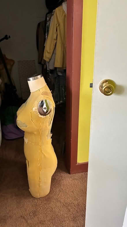 Photo of free Mannequin form (Lake Cook and Rte 41) #3