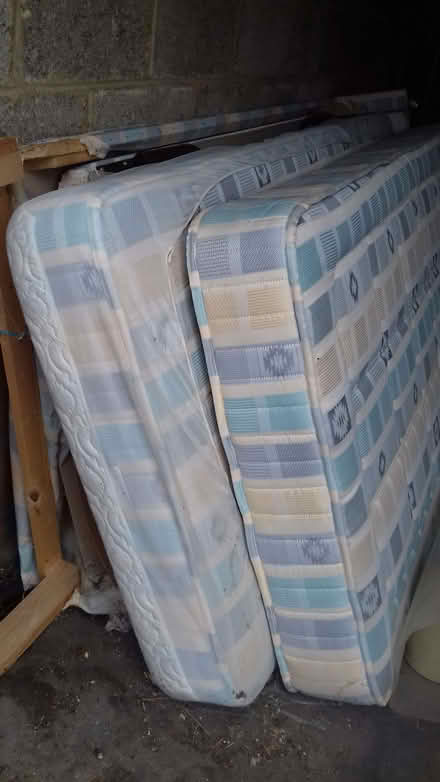 Photo of free Single bed/mattress with 2nd single bed stored underneath (Bowbridge GL5) #1