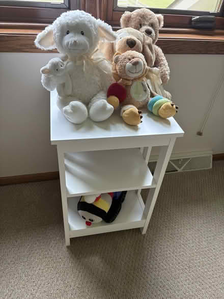 Photo of free Young Child/Toddler Shelving & Toys (Mukwonago/East Troy) #2