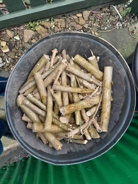 Photo of free Wood for wood stove (HX3) #1