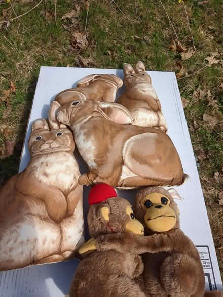 Photo of free Assorted stuffies (South Amherst) #1