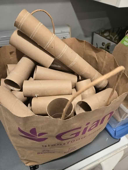 Photo of free Toilet paper rolls (Aspen Hill) #1