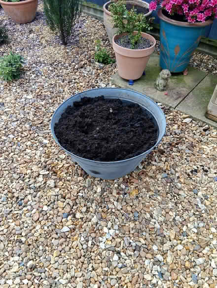 Photo of free Large strong metal planter (Heacham PE31) #1