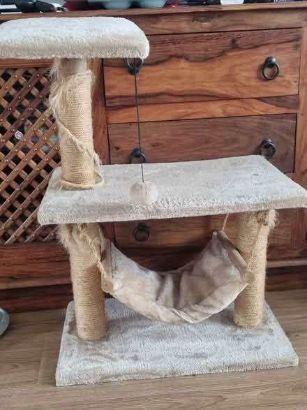 Photo of free Cat tower (Egham TW20) #1
