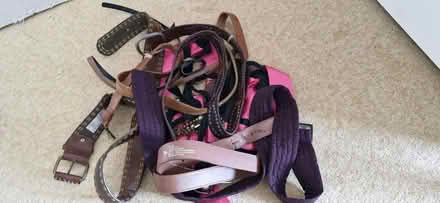 Photo of free Selection of belts (Knaphill GU21) #1