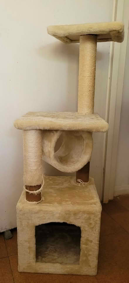 Photo of free Cat tree (Earl's Court) #2