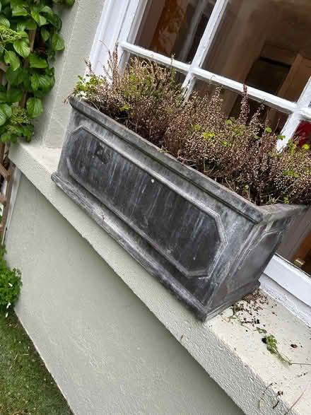 Photo of free Garden pots (Rathmines) #4